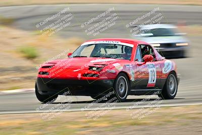 media/May-04-2025-Lucky Dog Racing (Sun) [[21629467aa]]/Turn 4 (10-1045am)/Turn 3/